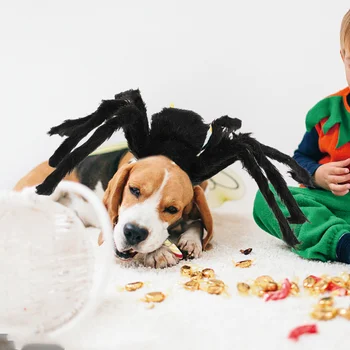 Костюм Паяк, за да се домашни любимци, Палто за Представяне на Кучета на Хелоуин, Облекло, Черна нощница