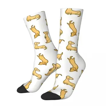 Чорапи с изображение на куче, дакел, Висококачествени чорапи, всички чорапи за мъже, дамски подаръци