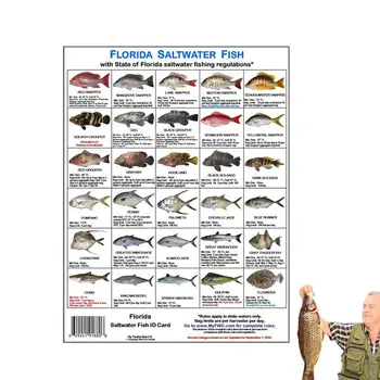 Картичка за улов на морски риби във Флорида Цветни снимки от карта за Идентификация на рибарите по водни правилата на Флорида